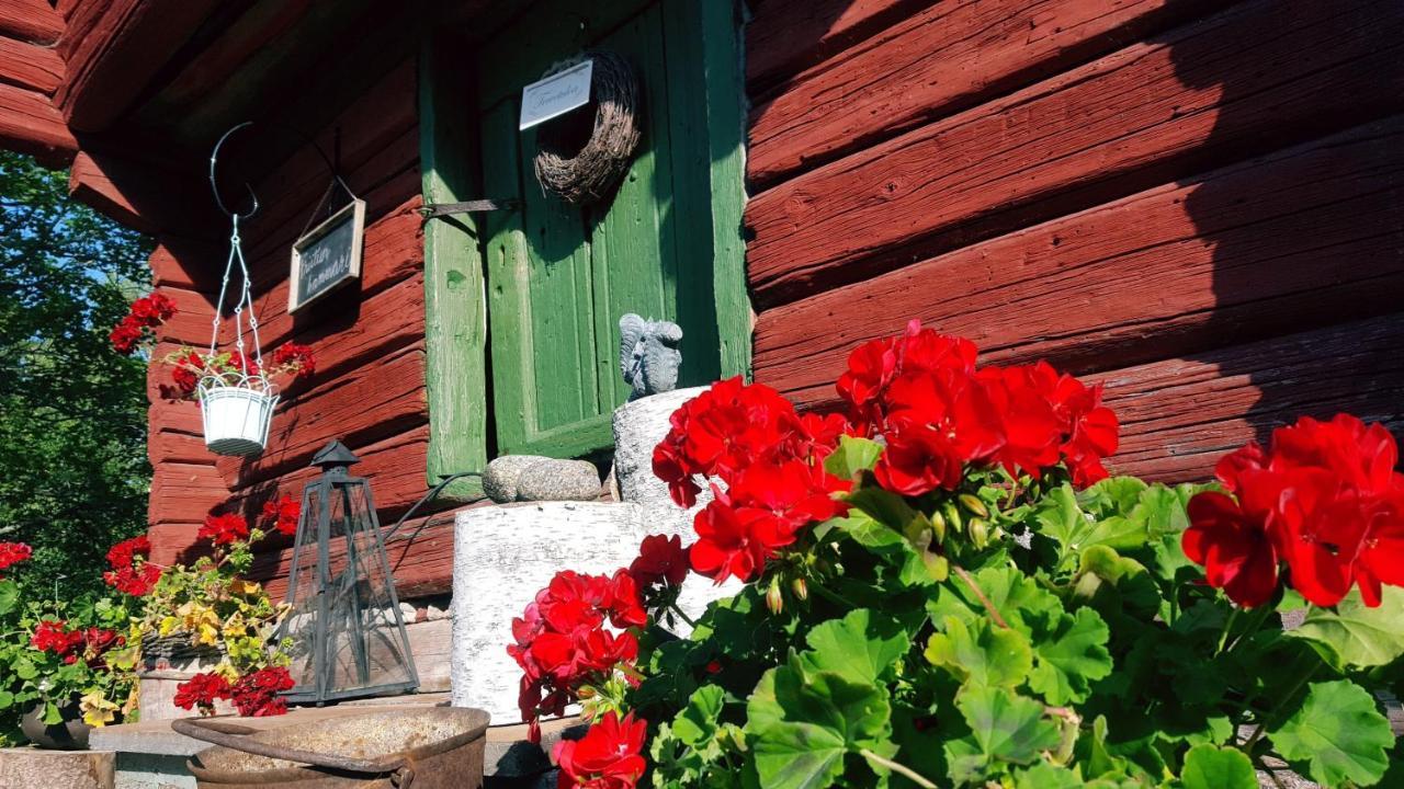 Villa Vuorenpaeae Tammela Exteriér fotografie