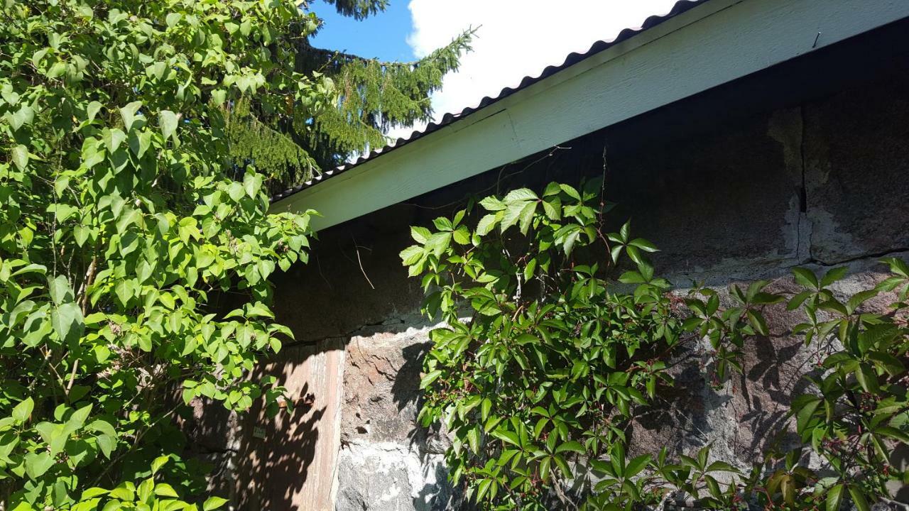 Villa Vuorenpaeae Tammela Exteriér fotografie
